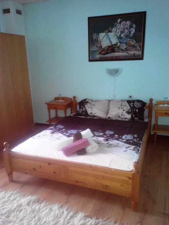 Veselata Guest House Dolna Banya Esterno foto