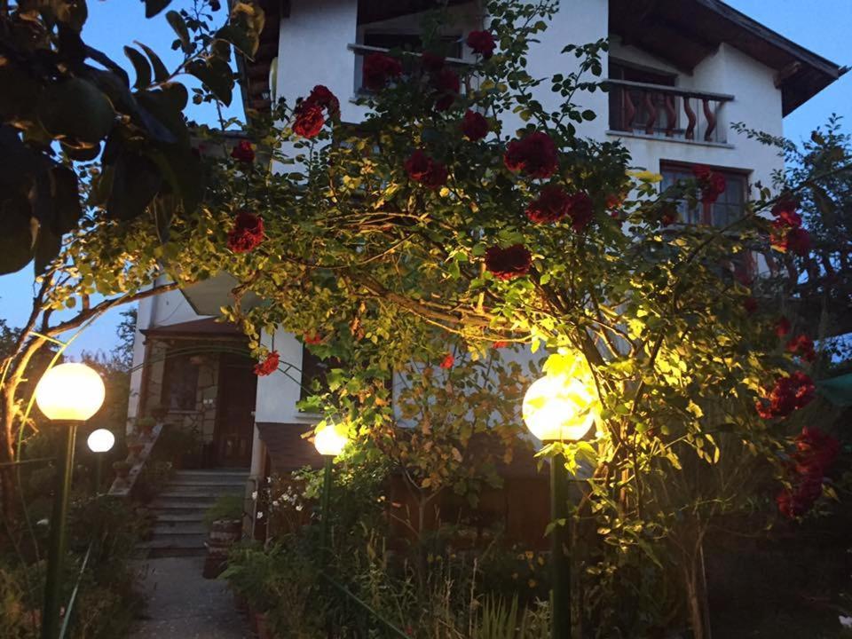 Veselata Guest House Dolna Banya Esterno foto